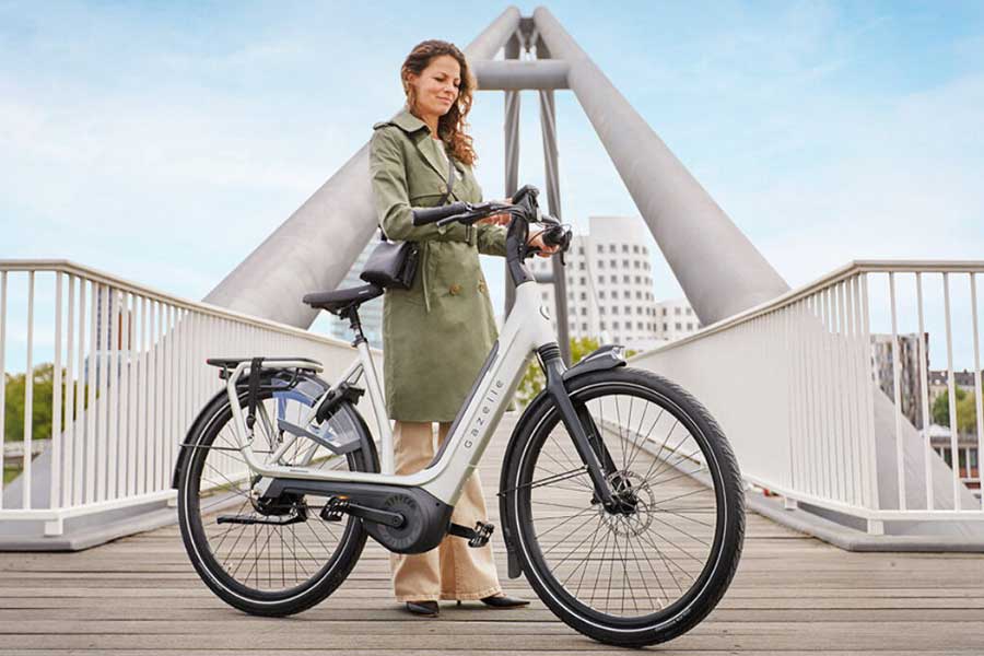Platteland aansluiten Vier De Gazelle Avignon is een prijswinnende elektrische fiets in een  gelimiteerde oplage - Fietsen van Stenis: fietsenwinkel Zutphen en  Warnveld, deskundig advies